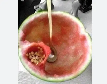 هندوانه