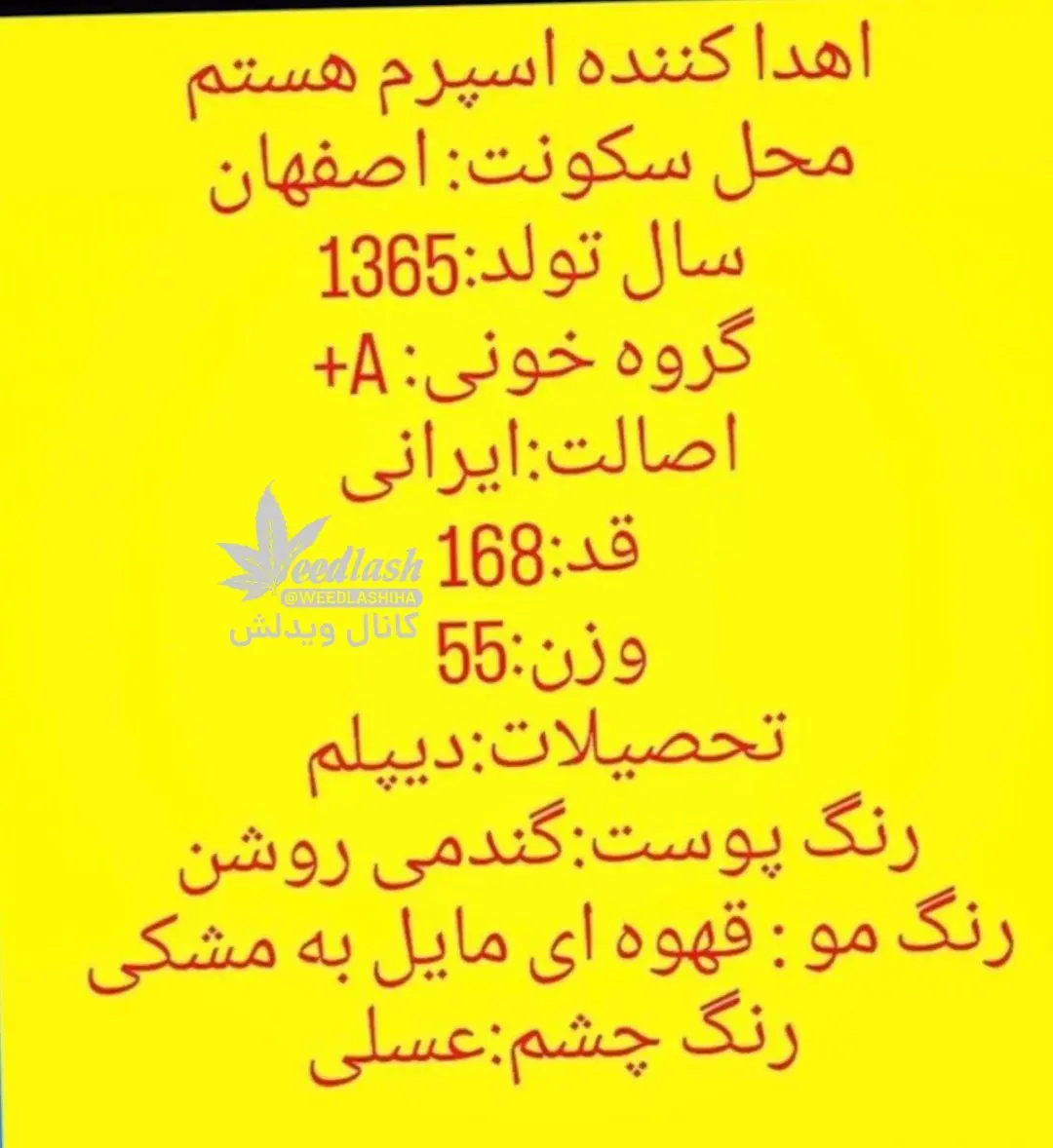 photo_2024-02-04_21-06-19