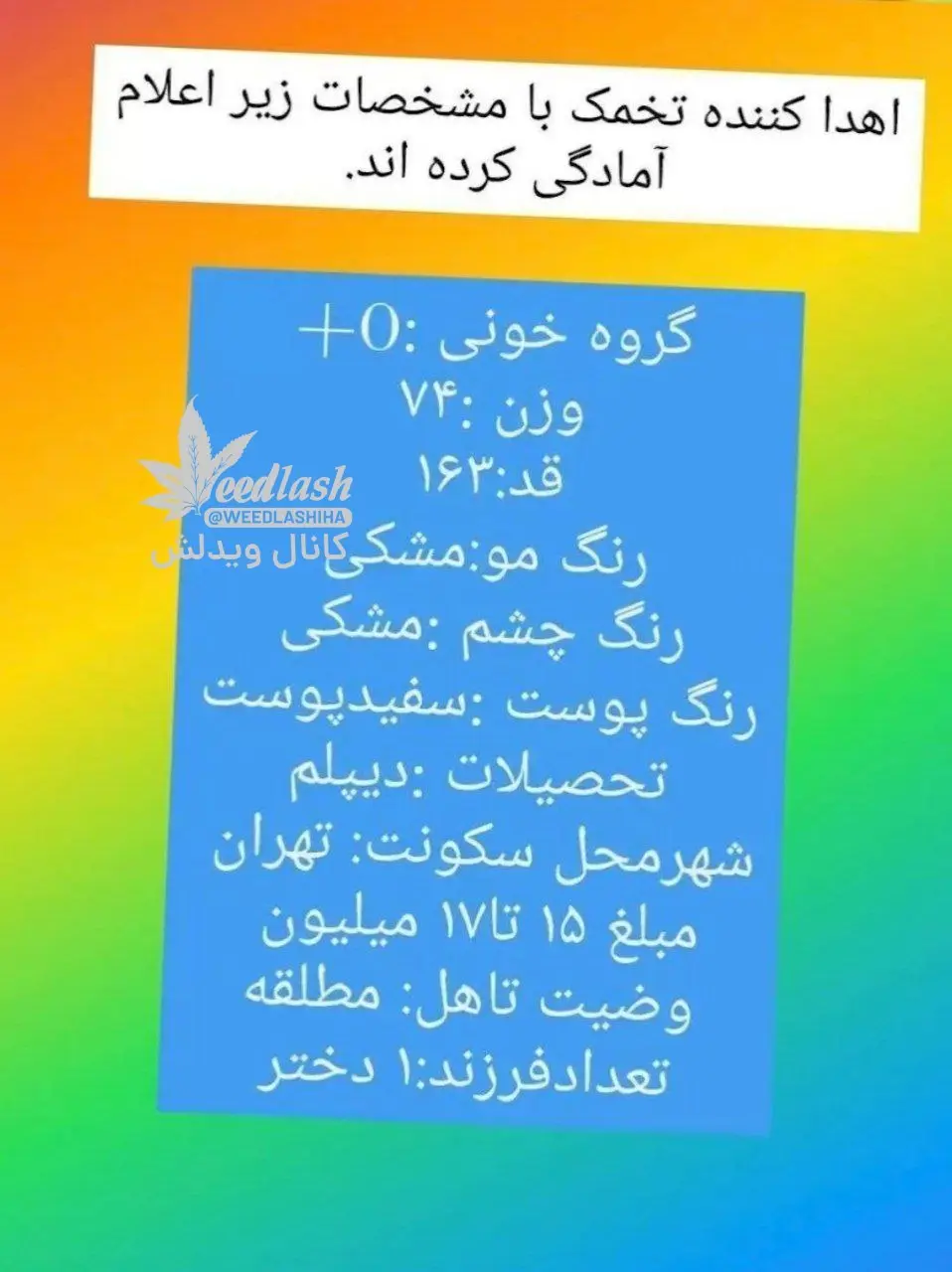 photo_2024-02-04_21-06-16