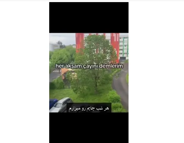 تاتیز