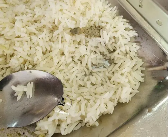 مارمولک