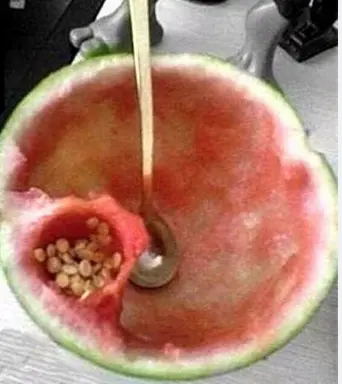 تنبلی