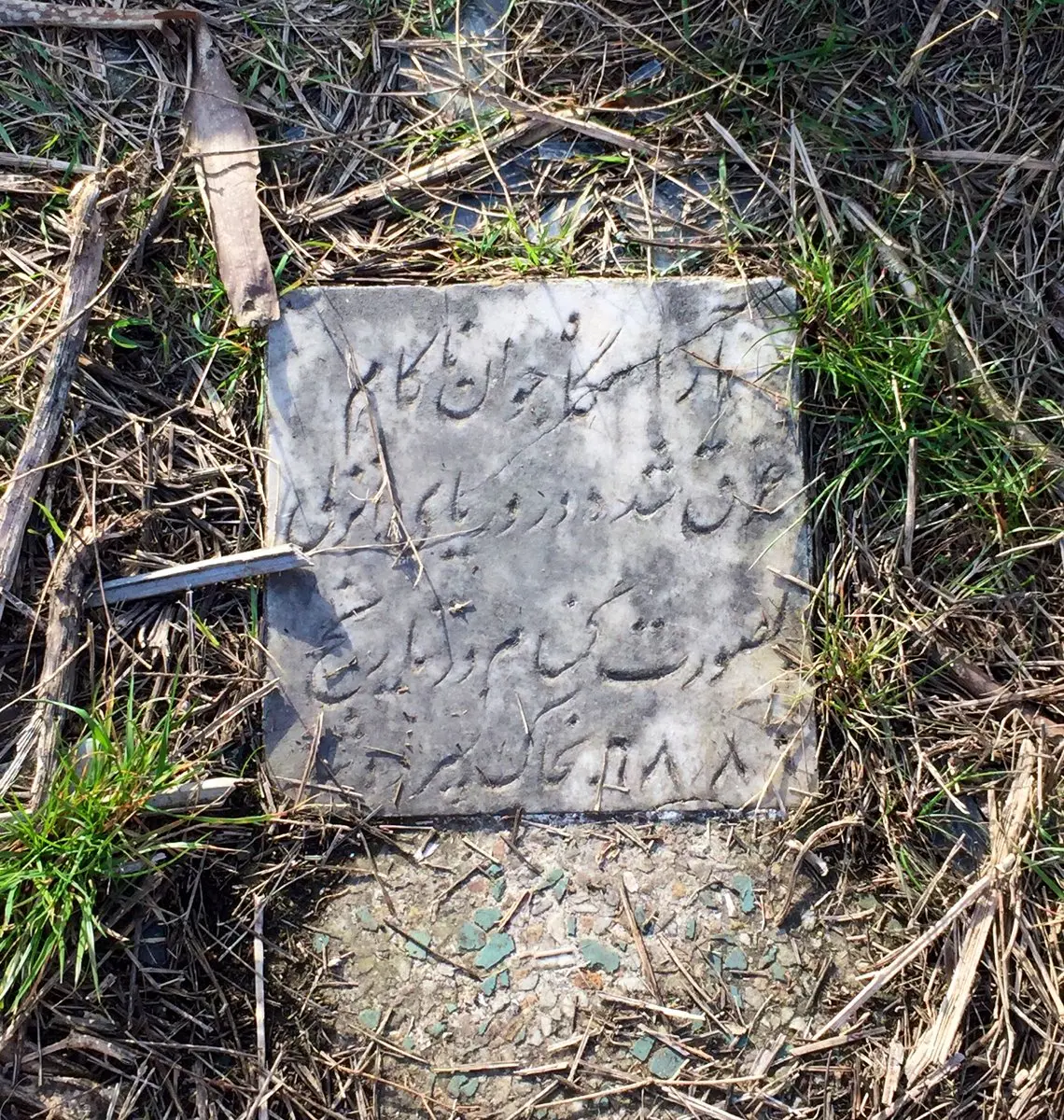 photo_2024-02-12_22-22-13