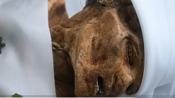 مومیایی
