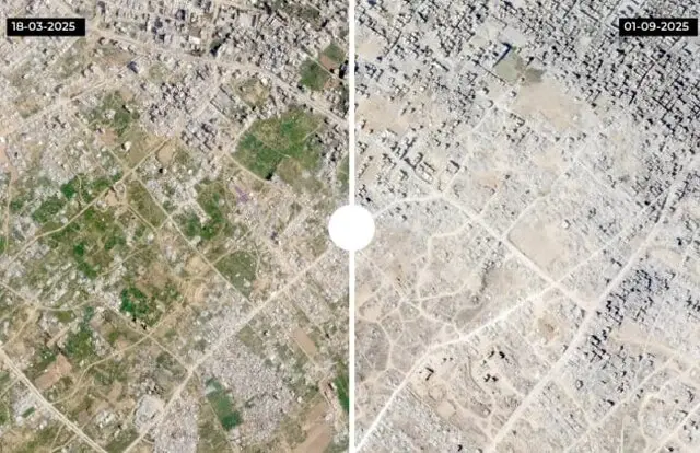 غزه