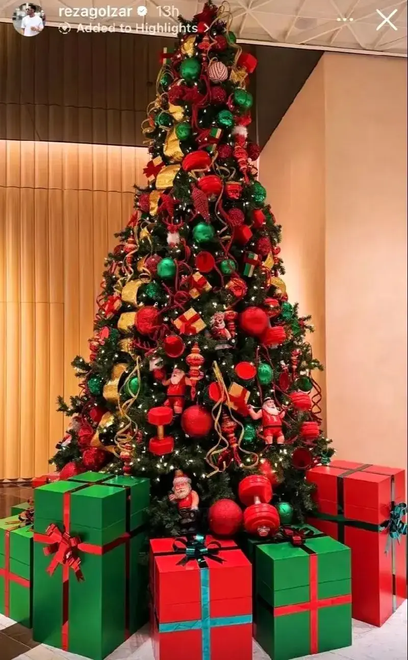 کریسمس لوکس محمدرضا گلزار و آیسان خانم در منزلشان در دوبی/ عکس
