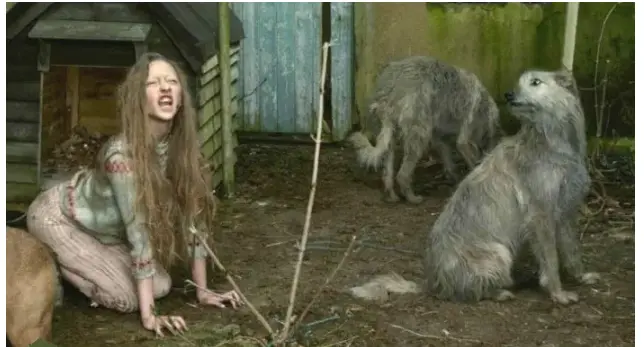 سگ9