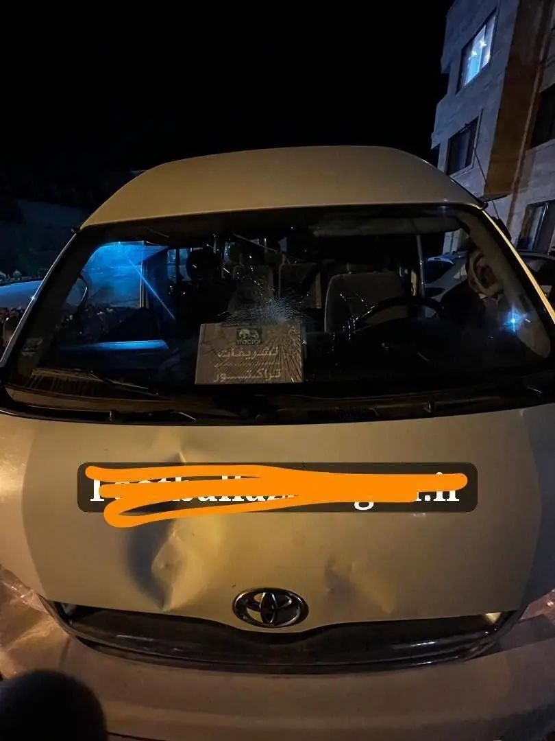 هوادار