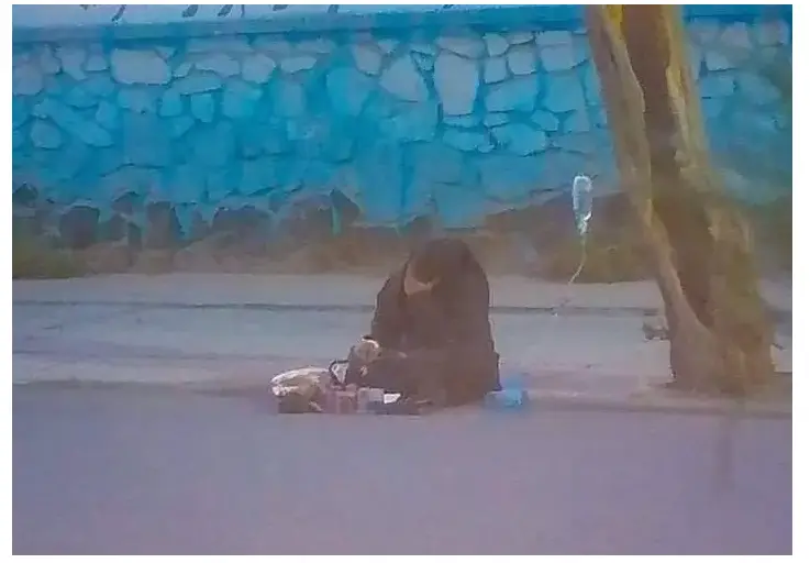 واکس