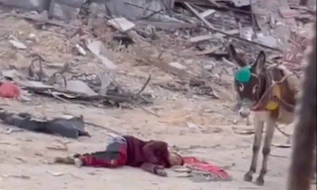 غزه