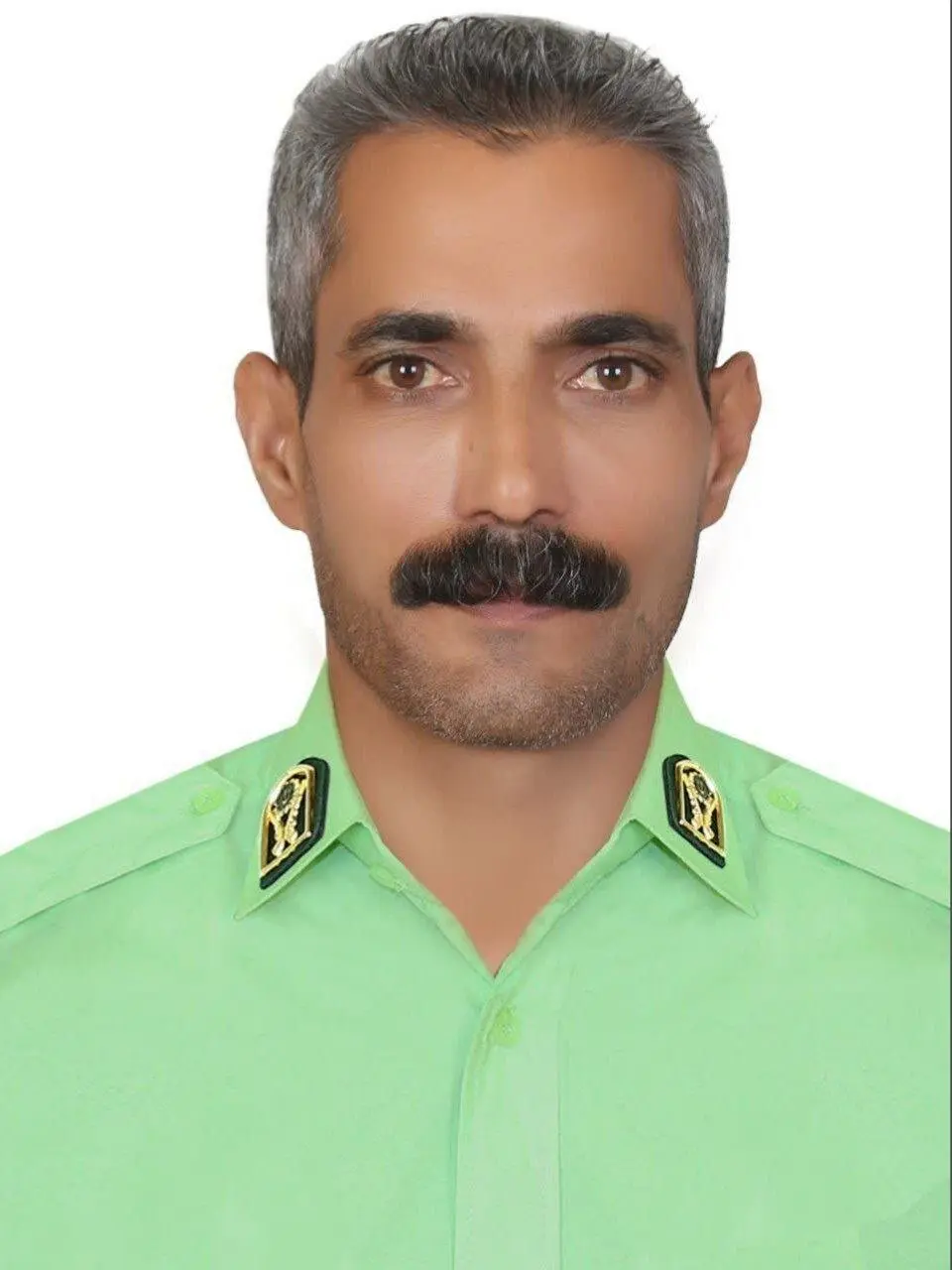 شهید