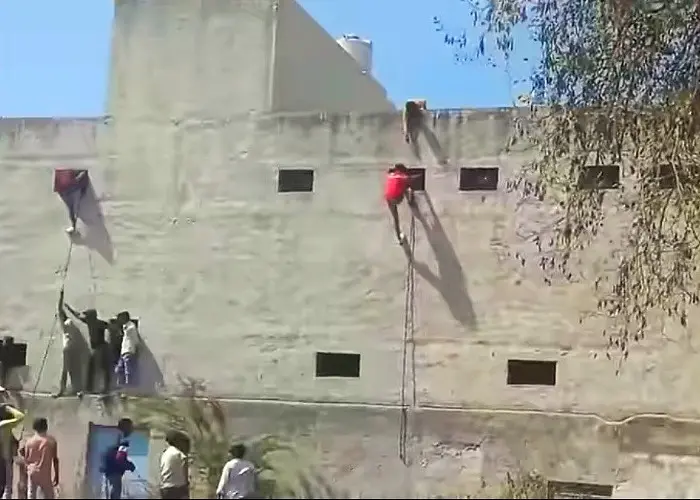 تقلب-رساندن