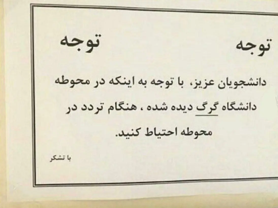 گرگ
