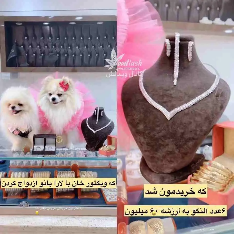 جشن عروسی