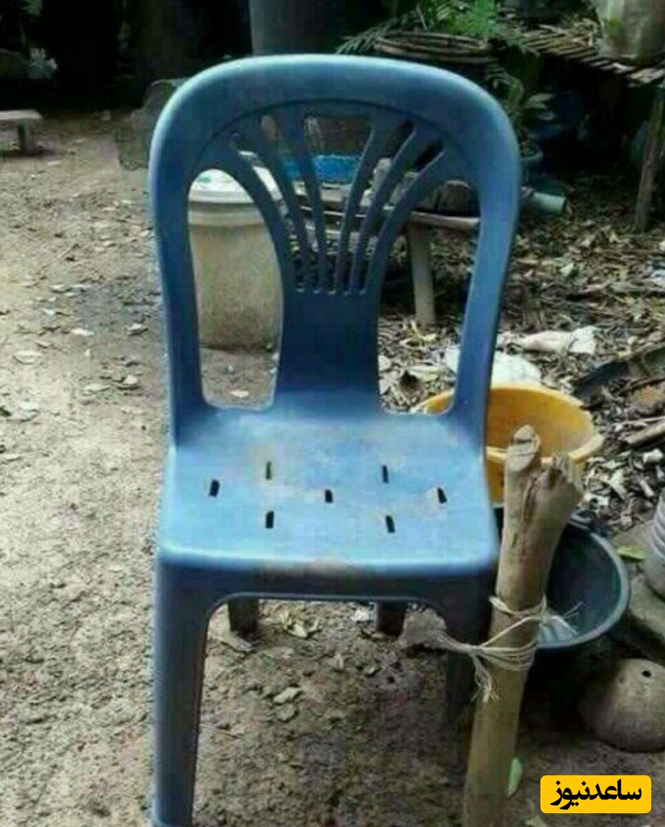 صندلی