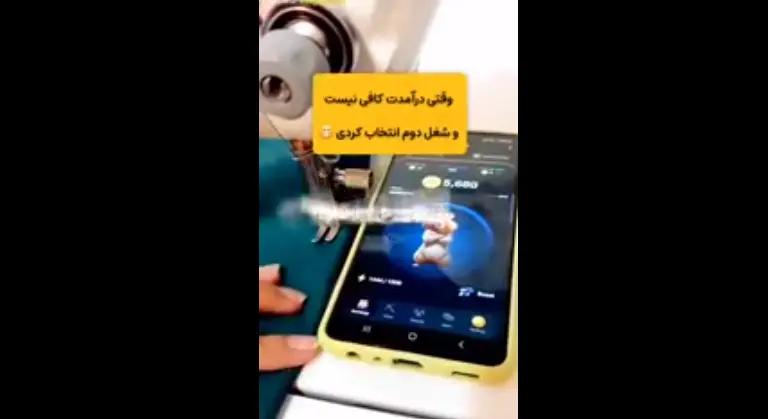 همستر
