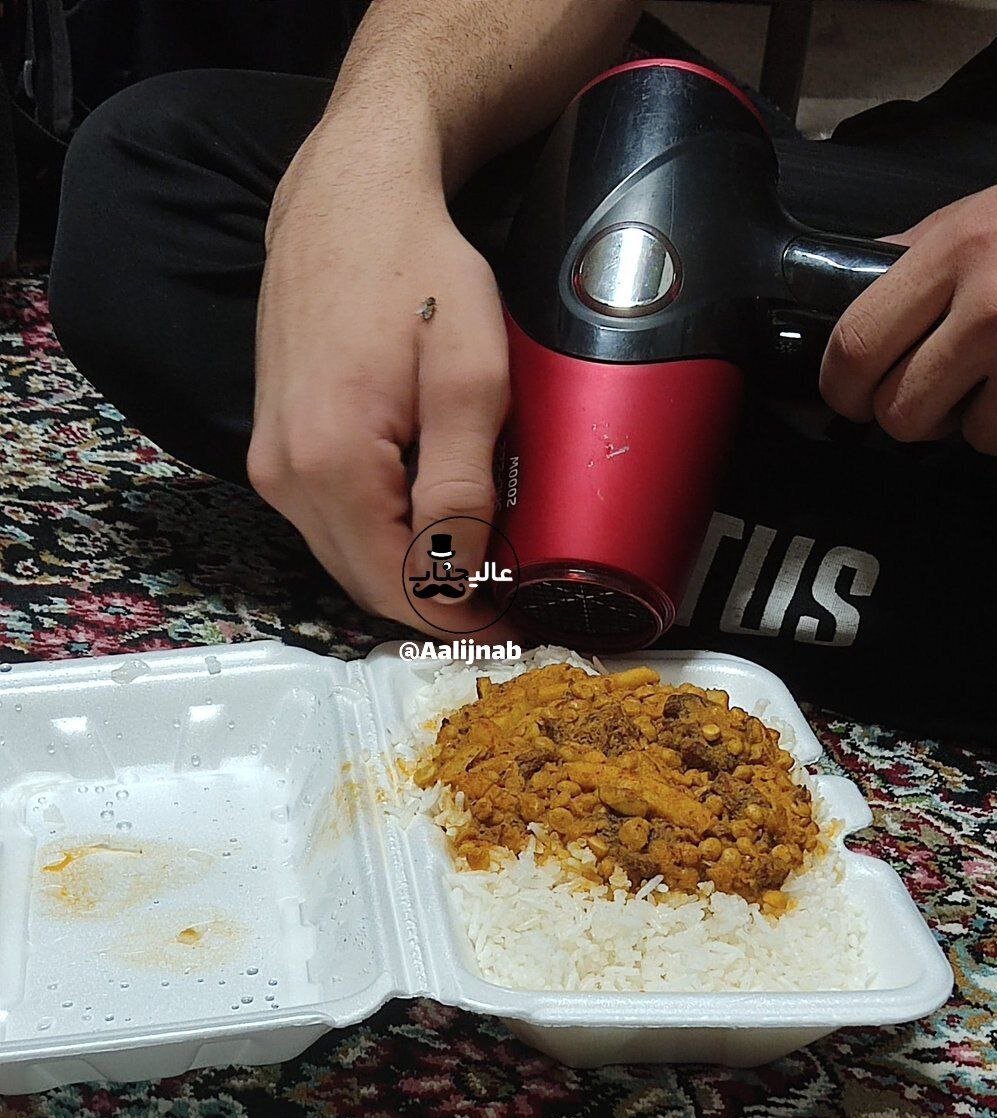 دانشجو
