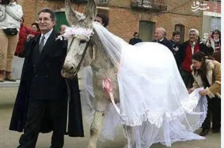 خر