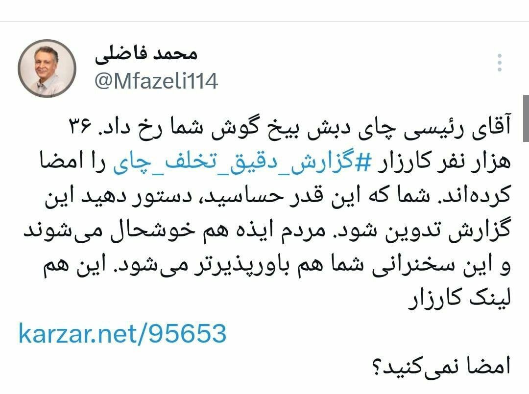 محمد فاضلی