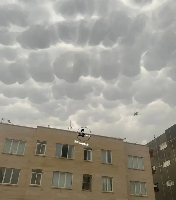 سیل