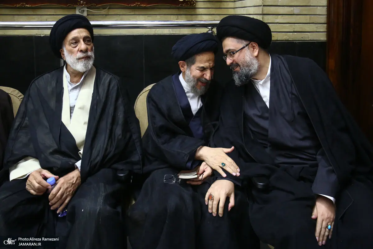 سید هادی خامنه ای