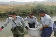 کشف یک جسد مرد 45 ساله با هویت نامشخص