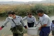 کشف یک جسد مرد 45 ساله با هویت نامشخص