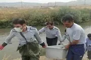 کشف یک جسد مرد 45 ساله با هویت نامشخص