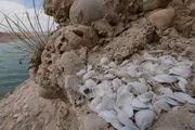 گرمای شدید بحران آفرید!+جزییات