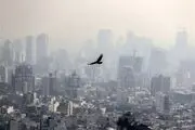 خبر فوری درباره آلودگی هوای کلانشهرها