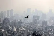 خبر فوری درباره آلودگی هوای کلانشهرها