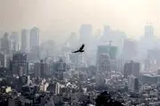 خبر فوری درباره آلودگی هوای کلانشهرها