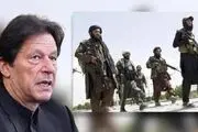 گام جدید پاکستان و طالبان برداشته شد