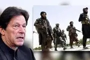 گام جدید پاکستان و طالبان برداشته شد