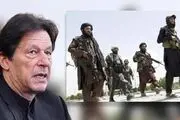 گام جدید پاکستان و طالبان برداشته شد