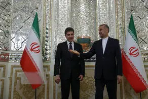 پیام حسین امیرعبداللهیان درباره دیدار با گروسی