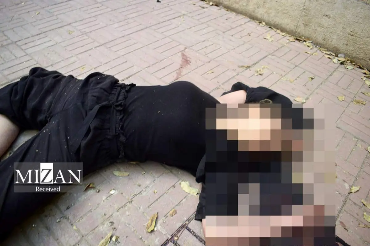 تصاویر و مستندات جدیدی از مرگ نیکا شاکرمی منتشر شد + سند