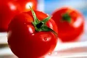  ماجرای جنجالی ویروسی شدن گوجه فرنگی‌ها واقعیت دارد؟