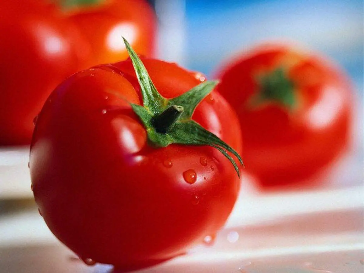  ماجرای جنجالی ویروسی شدن گوجه فرنگی‌ها واقعیت دارد؟