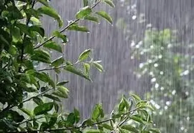 آغاز بارش پائیزی از امروز جمعه (دوم آبان) در این مناطق/ اردبیل و گیلان هم بارش دارند