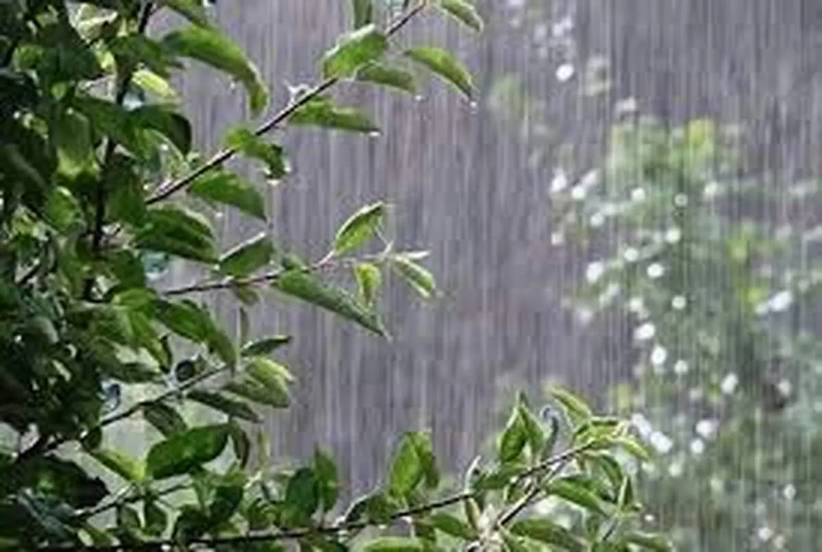 آغاز بارش پائیزی از امروز جمعه (دوم آبان) در این مناطق/ اردبیل و گیلان هم بارش دارند