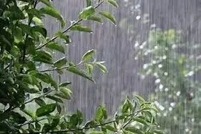 آغاز بارش پائیزی از امروز جمعه (دوم آبان) در این مناطق/ اردبیل و گیلان هم بارش دارند