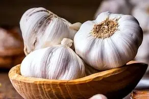 سیر خام مفید است یا پخته؟