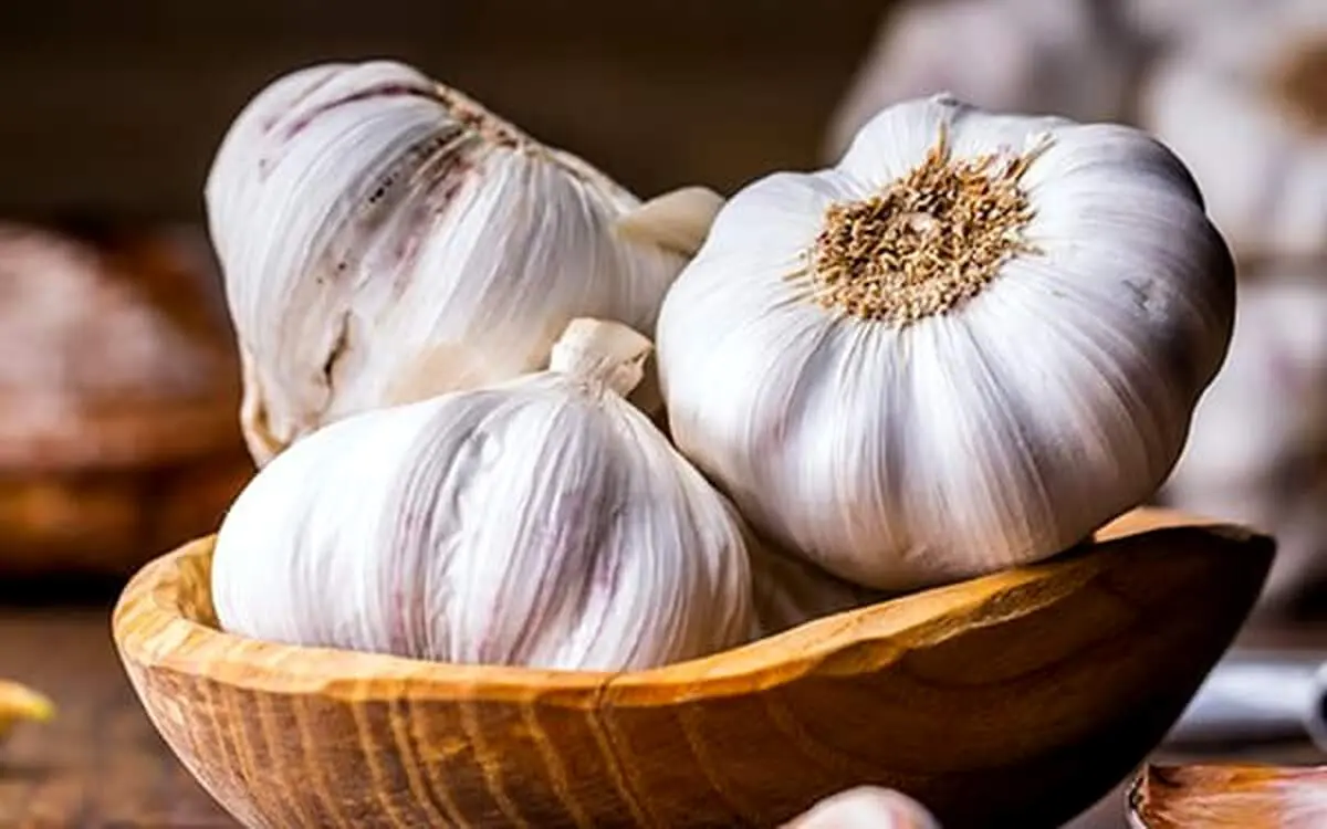 سیر خام مفید است یا پخته؟