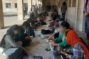 سفره دانشجویان هنر هم در محوطه پهن شد+ببینید 