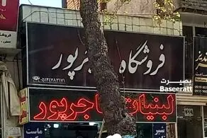 روایت جالب و شنیده نشده این مغازه‌دار درباره فیلم خالی کردن سطل ماست بر سر دو زن بی حجاب