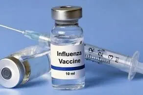 این میوه خوشمزه پاییزی آنفولانزا را کله پا می‌کند