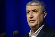 پیام تسلیت رییس سازمان انرژی اتمی در پی درگذشت اشرف بروجردی