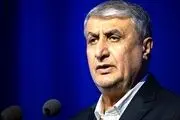 پیام تسلیت رییس سازمان انرژی اتمی در پی درگذشت اشرف بروجردی