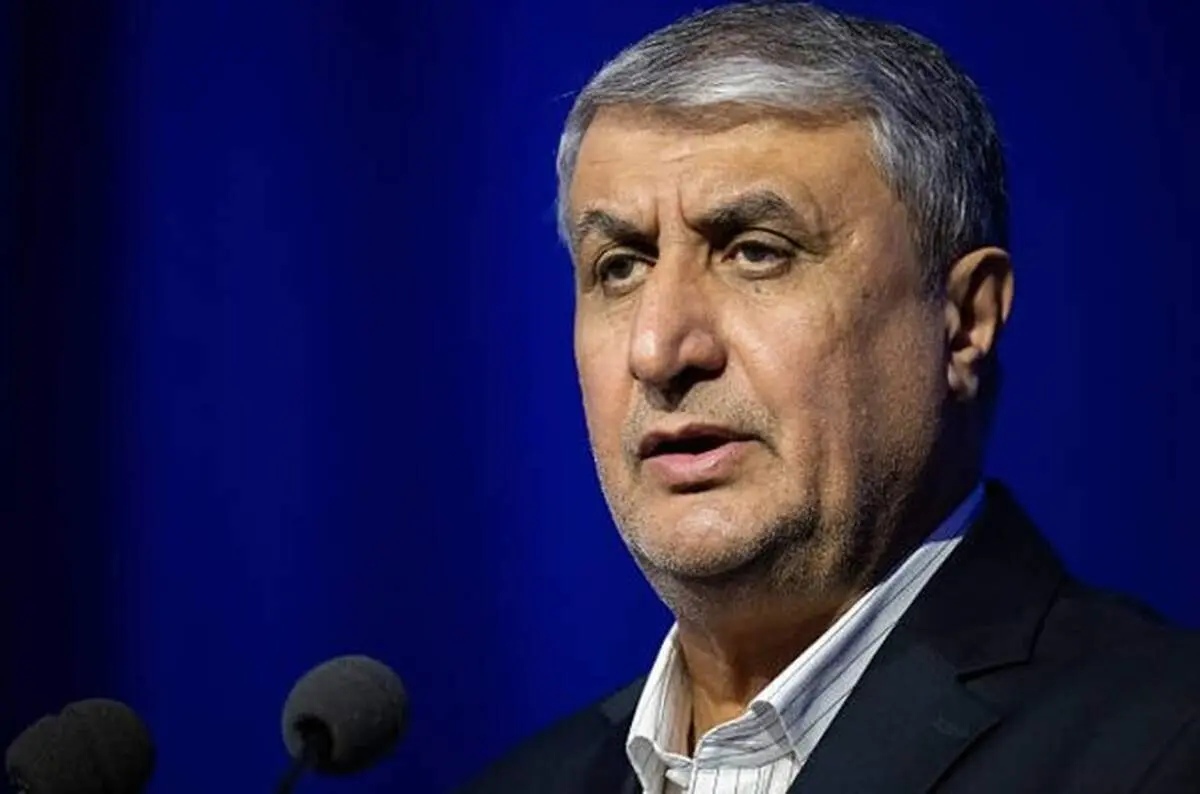 پیام تسلیت رییس سازمان انرژی اتمی در پی درگذشت اشرف بروجردی